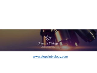 www.stepsinbiology.com
 