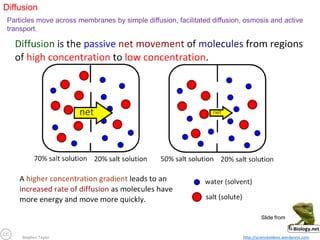 Stephen Taylor http://sciencevideos.wordpress.com
Diffusion
Particles move across membranes by simple diffusion, facilitated diffusion, osmosis and active
transport.
Slide from
 