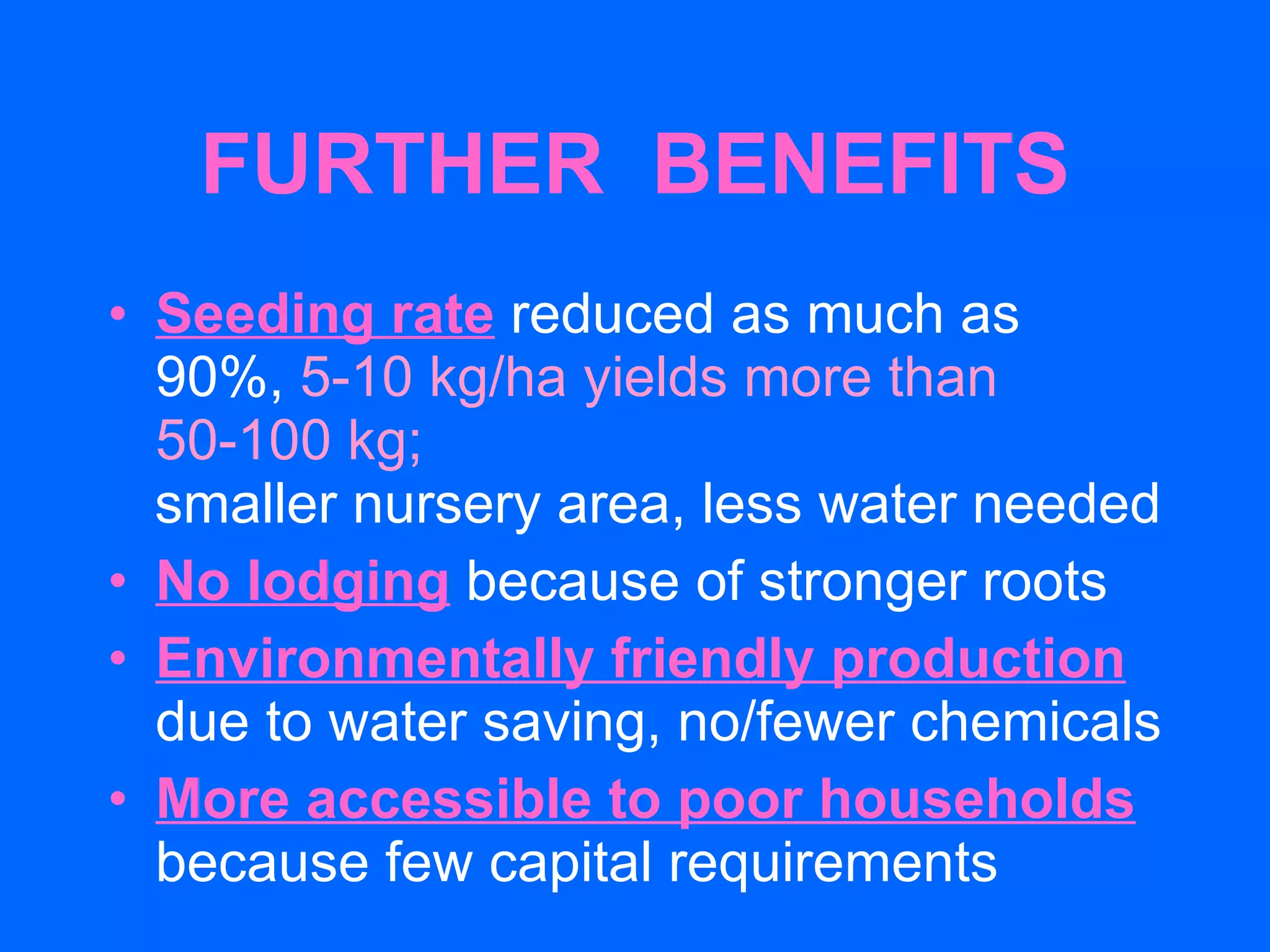 FURTHER  BENEFITS Seeding rate   reduced as much as 90%,  5-10 kg/ha yields more than 50-100 kg; smaller nursery area, less water needed No lodging   because of stronger roots Environmentally friendly production   due to water saving, no/fewer chemicals More accessible to poor households   because few capital requirements 