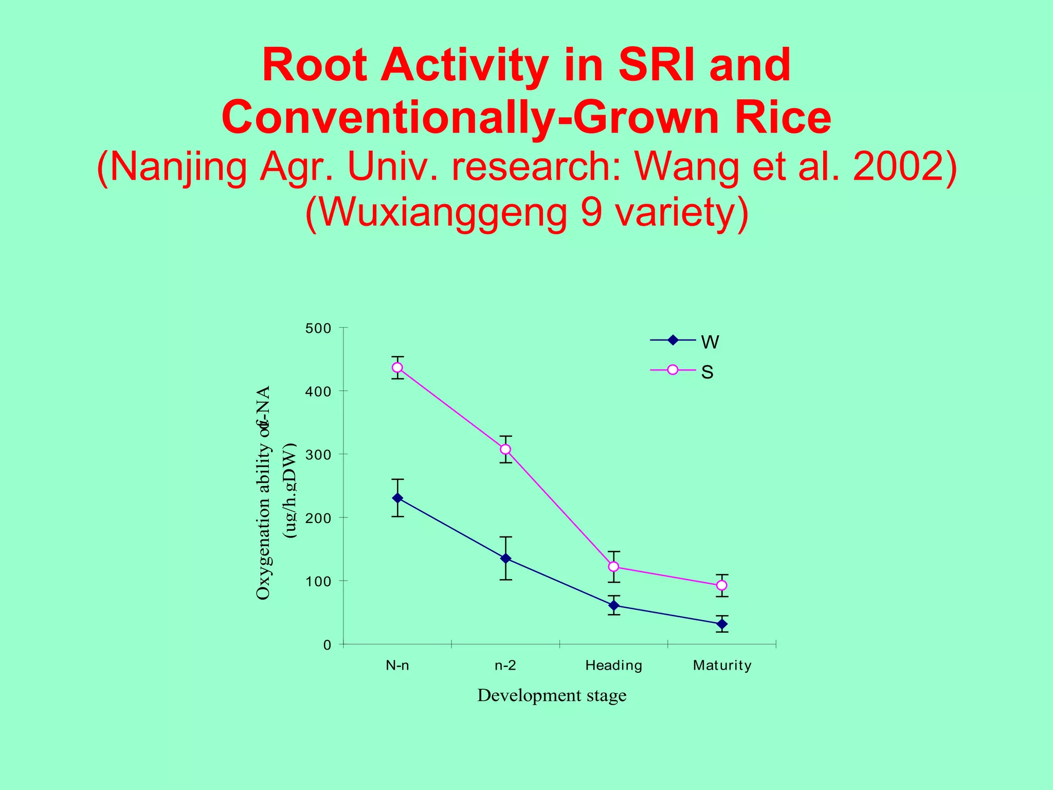 Root Activity in SRI and Conventionally-Grown Rice (Nanjing Agr. Univ. research: Wang et al. 2002) (Wuxianggeng 9 variety) 