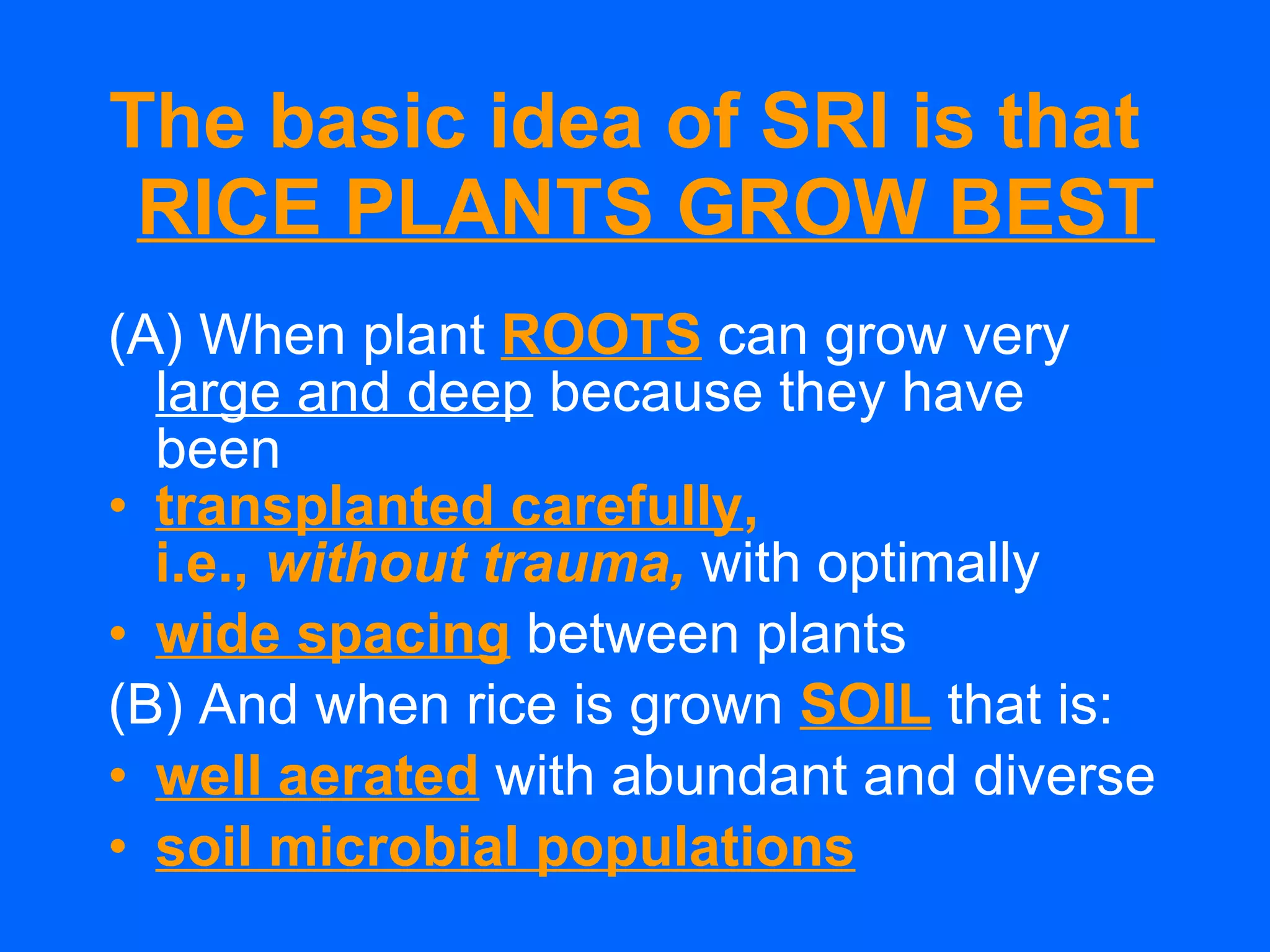 The basic idea of SRI is that  RICE PLANTS GROW BEST (A) When plant  ROOTS  can grow very  large and deep  because they have been transplanted carefully ,  i.e.,  without trauma,   with optimally wide spacing   between plants (B) And when rice is grown  SOIL   that is: well   aerated  with abundant and diverse soil microbial populations 