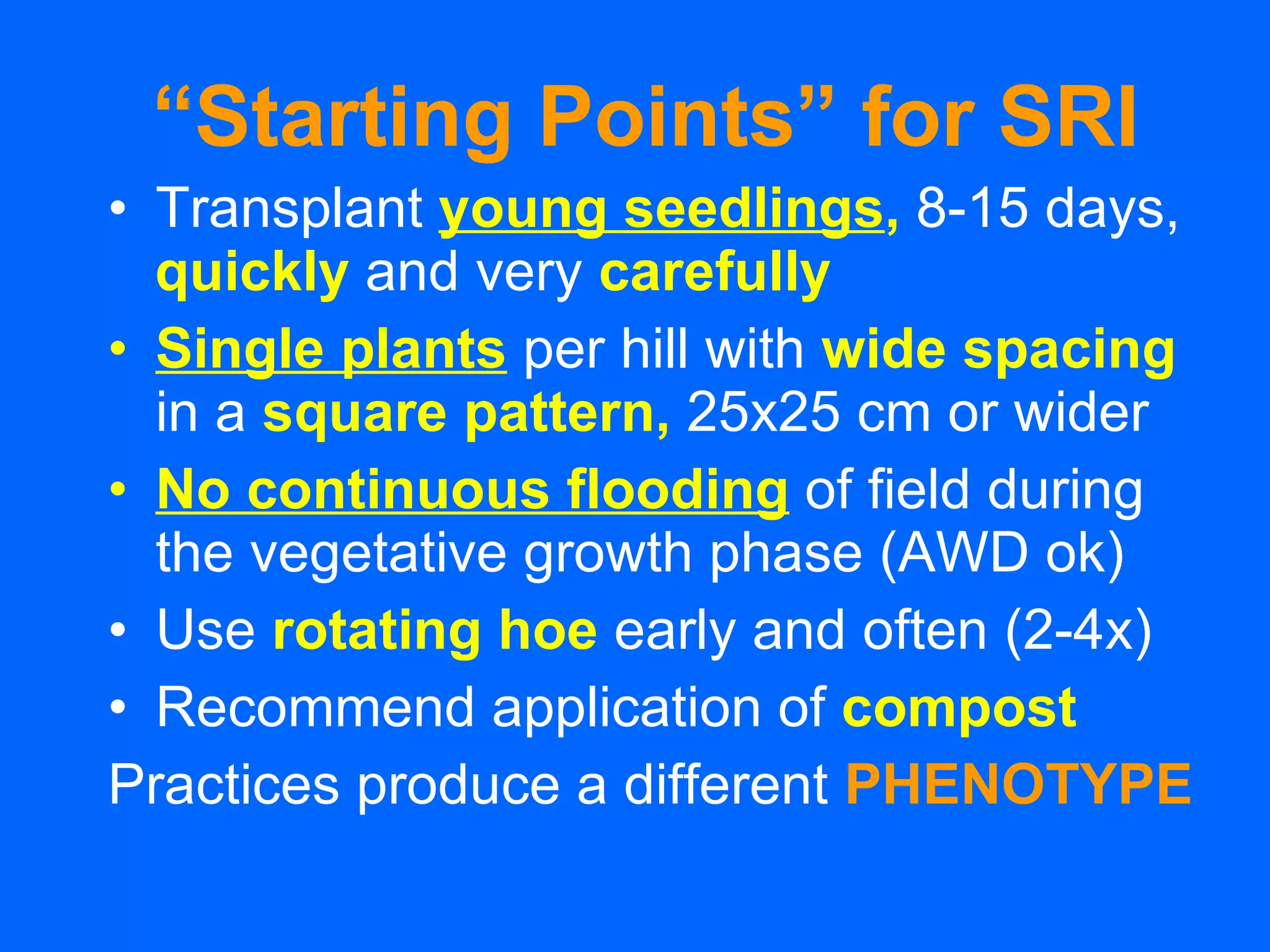 “ Starting Points” for SRI Transplant   young seedlings ,   8-15 days, quickly  and very   carefully Single plants   per hill with  wide spacing   in a   square pattern,   25x25 cm or wider No continuous flooding   of field during the vegetative growth phase (AWD ok) Use   rotating hoe   early and often (2-4x) Recommend application of   compost  Practices produce a different  PHENOTYPE 