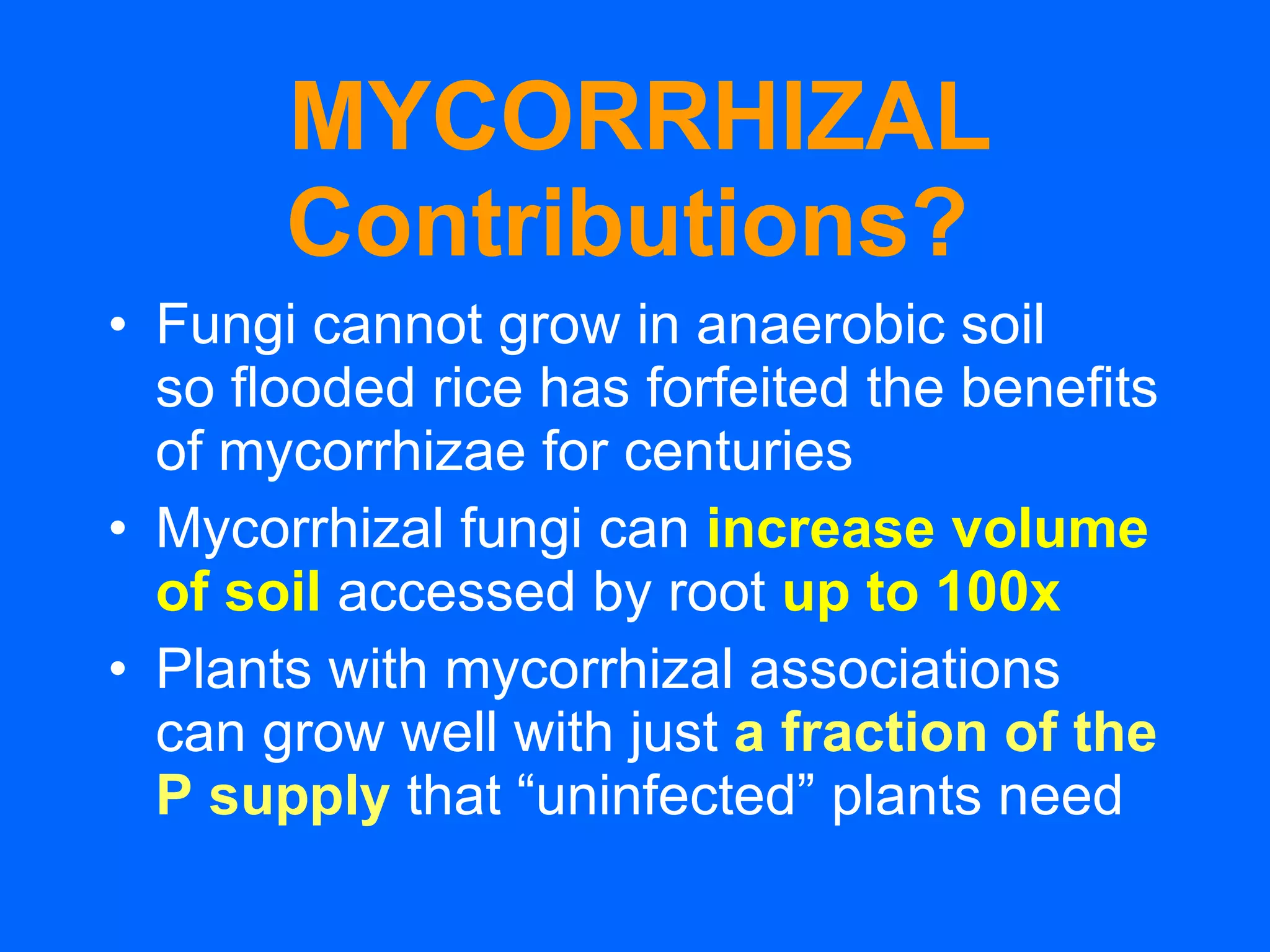 MYCORRHIZAL Contributions?   Fungi cannot grow in anaerobic soil  so flooded rice has forfeited the benefits of mycorrhizae for centuries Mycorrhizal fungi can  increase volume of soil  accessed by root  up to 100x Plants with mycorrhizal associations can grow well with just  a fraction of the P supply  that “uninfected” plants need 