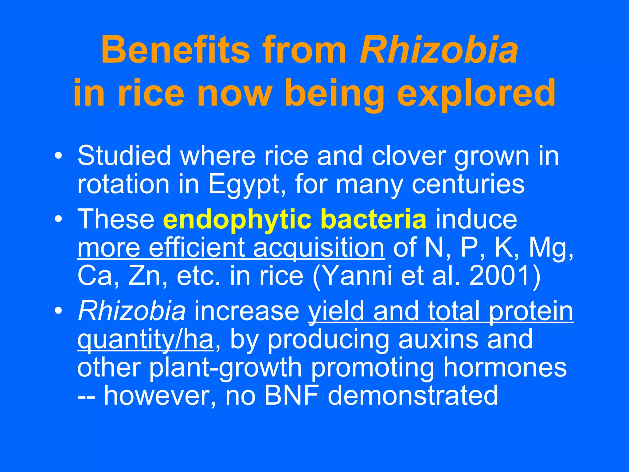 Benefits from  Rhizobia   in rice now being explored Studied where rice and clover grown in rotation in Egypt, for many centuries These  endophytic bacteria   induce  more efficient acquisition  of N, P, K, Mg, Ca, Zn, etc. in rice (Yanni et al. 2001) Rhizobia  increase  yield and total protein quantity/ha , by producing auxins and other plant-growth promoting hormones -- however, no BNF demonstrated 