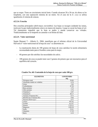 Gobierno Municipal de Chulumani “Villa de la Libertad”
                                                           Primera Sección de la Provincia Sud Yungas




que se seque. Tiene un crecimiento inicial lento. Cuando alcanzan 20 a 30 cm. de altura se les
trasplanta, con una separación mínima de un metro. En el caso de la E. coca se utiliza
igualmente el sistema de estacas.

d.2.2.4. Cosecha

Dos cosechas principales (abril-mayo; noviembre). Las hojas se recogen cuidando las ramas,
razón por la que tradicionalmente estuvo en manos de mujeres. Luego se secan las hojas al sol.
Tal tratamiento impedirá que la hoja se pudra y pueda conservar sus virtudes.
Tradicionalmente se le trasporta en canastas o en bolsas de lana.

d.2.2.5. Valor nutricional

Según Mamani T - Alberto E., 2004, manifiesta que el informe oficial de la Universidad
Harvard el “valor nutricional de la hoja de coca” se determina en:

    -    La masticación diaria de 100 gramos de hojas de coca satisface la ración alimentaria
         recomendada tanto para el hombre como para la mujer.

    -    60 gramos por día satisface las necesidades de calcio.

    -    100 gramos de coca se puede tener casi 2 gramos de potasio que son necesarios para el
         equilibrio del corazón.




             Cuadro No. 60: Contenido de la hoja de coca por cada 100 grs.

                                ELEMENTO                          CONTENIDO
                                                                     mg.
              Nitrógeno total                                              20.06
              Alcaloides totales no volátiles                               0.70
              Grasa                                                         3.68
              Carbohidratos                                                47.50
              Beta caroteno                                                 2.76
              Alfa caroteno                                                 2.76
              Vitamina C                                                    6.47
              Vitamina E                                                   40.17
              Tiamina (Vitamina B1)                                         0.73
              Riboflavina (Vitamina B2)                                     0.88
              Niacina (factor p.p.)                                         8.37
              Calcio                                                      997.62
              Fosfato                                                     412.67
              Potasio                                                    1739.33
              Magnesio                                                   1299.30
              Sodio                                                        39.41
              Aluminio                                                     17.39
              Bario                                                         6.18


Plan de Desarrollo Municipal                                                                          88a
 