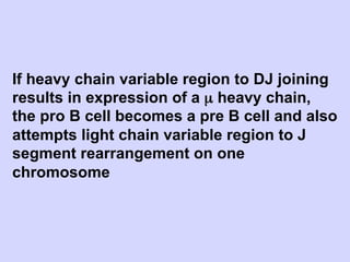 If heavy chain variable region to DJ joining
results in expression of a µ heavy chain,
the pro B cell becomes a pre B cell and also
attempts light chain variable region to J
segment rearrangement on one
chromosome
 