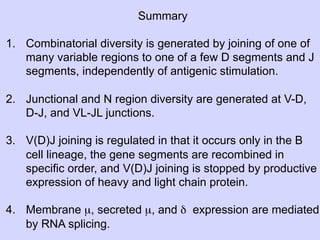 Summary

1.  Combinatorial diversity is generated by joining of one of
    many variable regions to one of a few D segments and J
    segments, independently of antigenic stimulation.

2.  Junctional and N region diversity are generated at V-D,
    D-J, and VL-JL junctions.

3.  V(D)J joining is regulated in that it occurs only in the B
    cell lineage, the gene segments are recombined in
    specific order, and V(D)J joining is stopped by productive
    expression of heavy and light chain protein.

4.  Membrane µ, secreted µ, and δ expression are mediated
    by RNA splicing.
 