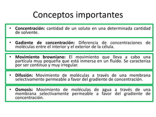 Conceptos importantes
• Concentración: cantidad de un soluto en una determinada cantidad
de solvente.
• Gadiente de concentración: Diferencia de concentraciones de
moléculas entre el interior y el exterior de la célula.
• Movimiento browniano: El movimiento que lleva a cabo una
partícula muy pequeña que está inmersa en un fluido. Se caracteriza
por ser continuo y muy irregular.
• Difusión: Movimiento de moléculas a través de una membrana
selectivamente permeable a favor del gradiente de concentración.
• Osmosis: Movimiento de moléculas de agua a través de una
membrana selectivamente permeable a favor del gradiente de
concentración.
 