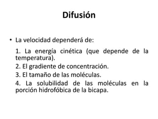 Difusión
• La velocidad dependerá de:
1. La energía cinética (que depende de la
temperatura).
2. El gradiente de concentración.
3. El tamaño de las moléculas.
4. La solubilidad de las moléculas en la
porción hidrofóbica de la bicapa.
 