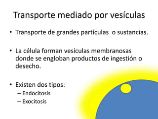 Transporte mediado por vesículas
• Transporte de grandes partículas o sustancias.
• La célula forman vesículas membranosas
donde se engloban productos de ingestión o
desecho.
• Existen dos tipos:
– Endocitosis
– Exocitosis
 