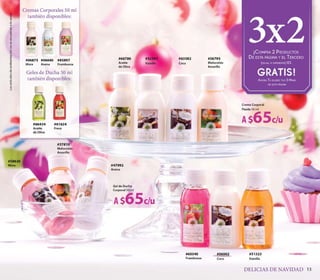 CATALOGO YVES ROCHER 13B
