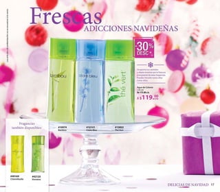 CATALOGO YVES ROCHER 13B