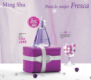 CATALOGO YVES ROCHER 13B