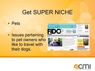 Get SUPER NICHE Pets Issues pertaining to pet owners who like to travel with their dogs. 