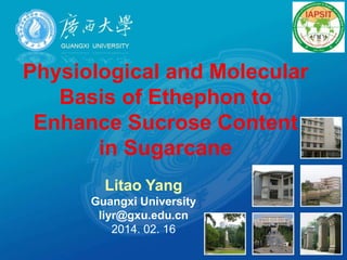 Physiological and Molecular
Basis of Ethephon to
Enhance Sucrose Content
in Sugarcane
Litao Yang
Guangxi University
liyr@gxu.edu.cn
2014. 02. 16
 