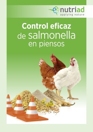 Control eficaz
de salmonella
en piensos
 