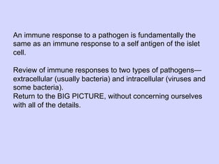 02.18.09: Review: Type 1 Diabetes and Overview of Immune Response | PDF