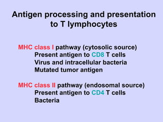 02.18.09: Review: Type 1 Diabetes and Overview of Immune Response | PDF