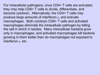 02.18.09: Review: Type 1 Diabetes and Overview of Immune Response | PDF
