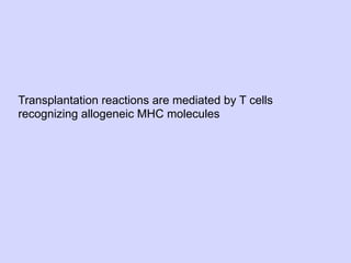 02.18.09: Review: Type 1 Diabetes and Overview of Immune Response | PDF