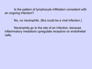 02.18.09: Review: Type 1 Diabetes and Overview of Immune Response | PDF