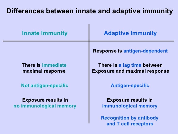 innate immunity