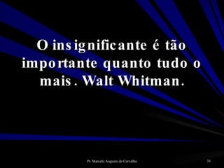 O insignificante é tão importante quanto tudo o mais. Walt Whitman. 