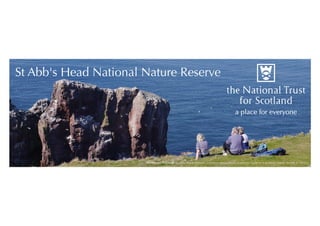 St Abb's Head National Nature Reserve
The National Trust for Scotland for Places of Historic Interest or Natural Beauty is a charity registered in Scotland, Charity Number SC 007410
 