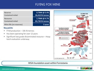 FLYING FOX MINE
10
WSA foundation asset within Forrestania
Reserve
Contained nickel
0.79Mt @ 3.4%
26,410 Ni tonnes
Resource
Contained nickel
1.79Mt @ 4.7%
83,730 Ni tonnes
Mine life (on reserves) 3 years
Key points
▪ FY18 production – 10k Ni tonnes
▪ Has been operating for over 12 years
▪ Significant low grade disseminated resource – Heap
leach evaluation underway
 