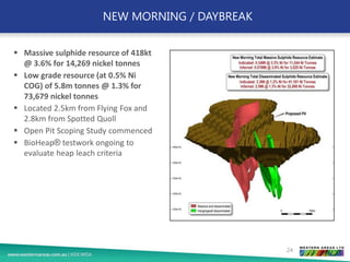 NEW MORNING / DAYBREAK
24
▪ Massive sulphide resource of 418kt
@ 3.6% for 14,269 nickel tonnes
▪ Low grade resource (at 0.5% Ni
COG) of 5.8m tonnes @ 1.3% for
73,679 nickel tonnes
▪ Located 2.5km from Flying Fox and
2.8km from Spotted Quoll
▪ Open Pit Scoping Study commenced
▪ BioHeap® testwork ongoing to
evaluate heap leach criteria
 
