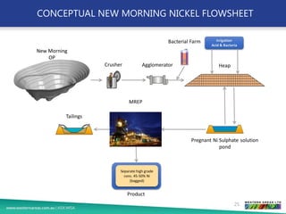 CONCEPTUAL NEW MORNING NICKEL FLOWSHEET
Bacterial
Generation Farm
Separate high grade
conc. 45-50% Ni
(bagged)
Irrigation
Acid & Bacteria
New Morning
OP
Crusher Agglomerator Heap
Tailings
MREP
Pregnant Ni Sulphate solution
pond
Product
Bacterial Farm
25
 