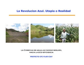La Revolucion Azul. Utopia o Realidad




  La Cosecha de agua un camino seguro,
         hacia la eco-eficiencia

          PROYECTO CFC-FLAR-CIAT
 