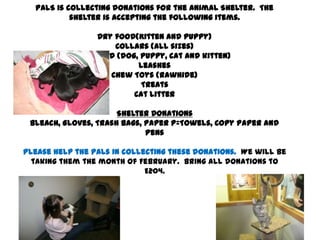 PALS is collecting donations for the Animal Shelter. The
           shelter is accepting the following items.

                  Dry food(Kitten and puppy)
                      Collars (all sizes)
             Can food (dog, puppy, cat and kitten)
                           Leashes
                     Chew Toys (rawhide)
                            Treats
                          Cat Litter

                      Shelter Donations
 Bleach, Gloves, Trash Bags, Paper P=Towels, Copy Paper and
                             Pens

Please help the PALs in collecting these donations. We will be
  taking them the month of February. Bring all donations to
                             E204.
 