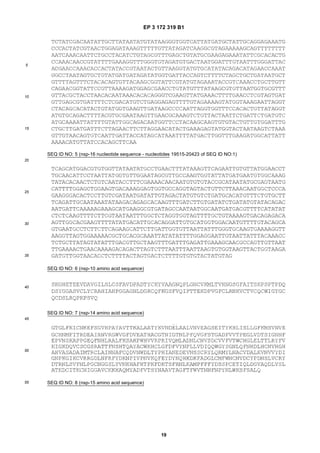 EP 3 172 319 B1
19
5
10
15
20
25
30
35
40
45
50
55
SEQ ID NO: 5 (nsp-16 nucleotide sequence - nucleotides 19515-20423 of SEQ ID NO:1)
SEQ ID NO: 6 (nsp-10 amino acid sequence)
SEQ ID NO: 7 (nsp-14 amino acid sequence)
SEQ ID NO: 8 (nsp-15 amino acid sequence)
 