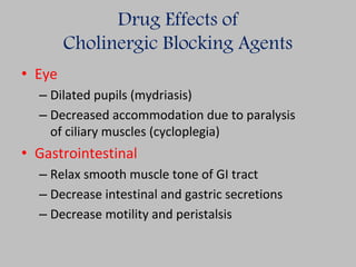Drug Effects of
Cholinergic Blocking Agents
• Eye
– Dilated pupils (mydriasis)
– Decreased accommodation due to paralysis
of ciliary muscles (cycloplegia)
• Gastrointestinal
– Relax smooth muscle tone of GI tract
– Decrease intestinal and gastric secretions
– Decrease motility and peristalsis
 