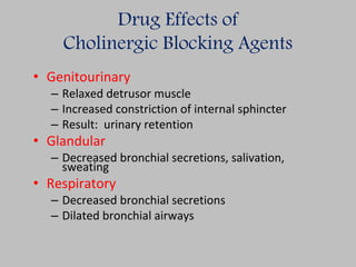 Drug Effects of
Cholinergic Blocking Agents
• Genitourinary
– Relaxed detrusor muscle
– Increased constriction of internal sphincter
– Result: urinary retention
• Glandular
– Decreased bronchial secretions, salivation,
sweating
• Respiratory
– Decreased bronchial secretions
– Dilated bronchial airways
 