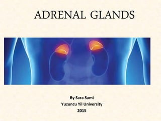 ADRENAL GLANDS
By Sara Sami
Yuzuncu Yil University
2015
 