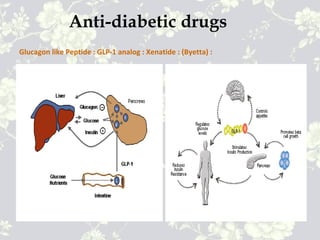 Anti-diabetic drugs
Glucagon like Peptide : GLP-1 analog : Xenatide : (Byetta) :
 