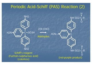 Periodic Acid-Schiff (PAS) Reaction (2)
H2N C SO3H
NH2
NH2
Schiff’s reagent
(Fuchsin-sulphurous acid)
(colorless)
H2N+ C
NH-SO2-C-R
O
H
NH-SO2-C-R
O
H
2(R-CHO)
Aldehydes
(red-purple product)
 