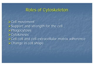 Roles of CytoskeletonRoles of Cytoskeleton
Cell movement
Support and strength for the cell
Phagocytosis
Cytokinesis
Cell-cell and cell-extracellular matrix adherence
Change in cell shape
Cell movement
Support and strength for the cell
Phagocytosis
Cytokinesis
Cell-cell and cell-extracellular matrix adherence
Change in cell shape
 