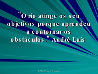 "O rio atinge os seu objetivos porque aprendeu a contornar os obstáculos." André Luis  