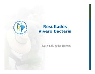 Resultados
Vivero Bacteria


 Luis Eduardo Berrio
 