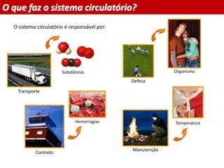 O que faz o sistema circulatório?
O sistema circulatório é responsável por:
Planeta Terra — 9.º ano
Transporte
Controlo
Manutenção
Defesa
Substâncias Organismo
Hemorragias Temperatura
 
