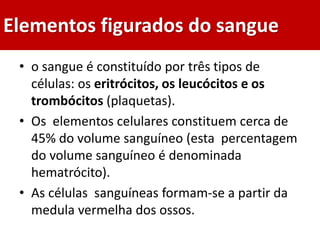 Elementos figurados do sangue
• o sangue é constituído por três tipos de
células: os eritrócitos, os leucócitos e os
trombócitos (plaquetas).
• Os elementos celulares constituem cerca de
45% do volume sanguíneo (esta percentagem
do volume sanguíneo é denominada
hematrócito).
• As células sanguíneas formam-se a partir da
medula vermelha dos ossos.
 