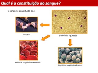 Plaquetas
Hemácias ou glóbulos vermelhos
Leucócitos ou glóbulos brancos
O sangue é constituído por:
Qual é a constituição do sangue?
Planeta Terra — 9.º ano
Elementos figurados
 