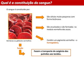 São células muito pequenas com
forma bicôncava.
Fazem o transporte do oxigénio dos
pulmões aos tecidos.
São anucleadas e são formadas na
medula vermelha dos ossos.
Contêm um pigmento vermelho – a
hemoglobina.
função
Qual é a constituição do sangue?
O sangue é constituído por:
Planeta Terra — 9.º ano
Hemácias ou glóbulos vermelhos
 