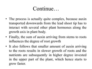 Continue…
• The process is actually quite complex, because auxin
transported downwards from the lead shoot tip has to
interact with several other plant hormones along the
growth axis in plant body.
• Finally, the sum of auxin arriving from stems to roots
influences the degree of root growth
• It also follows that smaller amount of auxin arriving
to the roots results in slower growth of roots and the
nutrients are subsequently in higher degree invested
in the upper part of the plant, which hence starts to
grow faster.
 