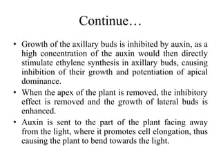Continue…
• Growth of the axillary buds is inhibited by auxin, as a
high concentration of the auxin would then directly
stimulate ethylene synthesis in axillary buds, causing
inhibition of their growth and potentiation of apical
dominance.
• When the apex of the plant is removed, the inhibitory
effect is removed and the growth of lateral buds is
enhanced.
• Auxin is sent to the part of the plant facing away
from the light, where it promotes cell elongation, thus
causing the plant to bend towards the light.
 