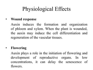 Physiological Effects
• Wound response
Auxin induces the formation and organization
of phloem and xylem. When the plant is wounded,
the auxin may induce the cell differentiation and
regeneration of the vascular tissues.
• Flowering
Auxin plays a role in the initiation of flowering and
development of reproductive organs. In low
concentrations, it can delay the senescence of
flowers.
 