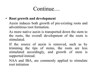 Continue…
• Root growth and development
Auxin induces both growth of pre-existing roots and
adventitious root formation.
As more native auxin is transported down the stem to
the roots, the overall development of the roots is
stimulated.
If the source of auxin is removed, such as by
trimming the tips of stems, the roots are less
stimulated accordingly, and growth of stem is
supported instead.
NAA and IBA, are commonly applied to stimulate
root initiation
 